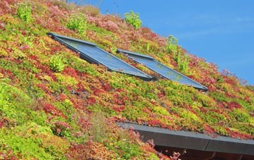 Little Downham living roof systems