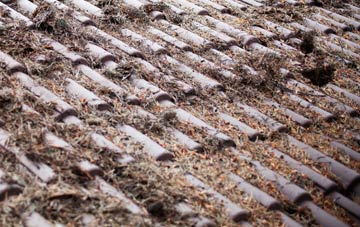 Little Downham roof cleaning companies