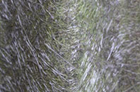 Little Downham fibreglass roof work